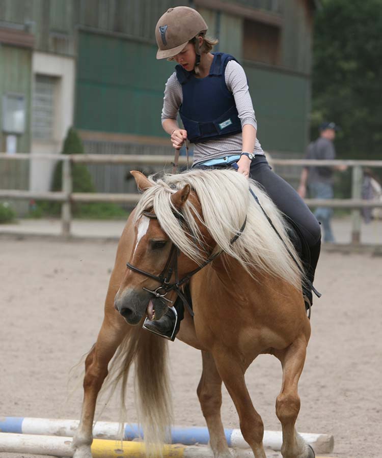 Equitation au village vacances les 4 Vents - Vosges Alsace