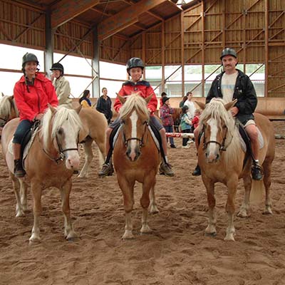 Activité équitation, centre équestre aux 4 Vents Vosges