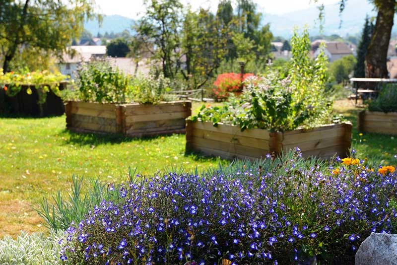 Jardin potager Emil'saveurs du village vacances les 4 Vents