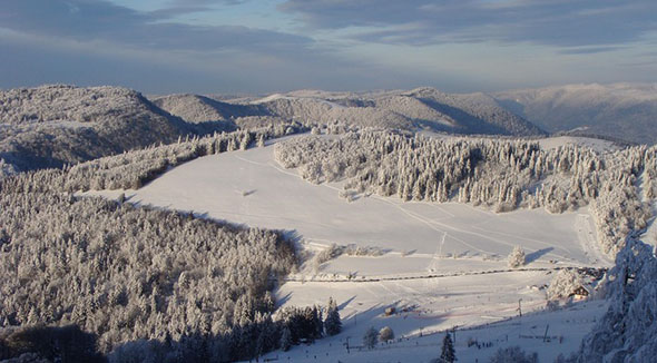 Rouge gazon en hiver - Vosges Grand Est