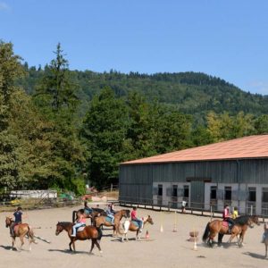 Centre équestre pendant les vacances d'été au village vacances les 4 Vents Vosges