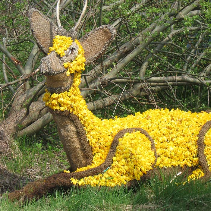 Cerf fête des Jonquilles de Gérardmer - village vacances les 4 Vents