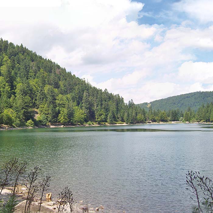 Séjour randonnée : nature estivale dans les Vosges, étang