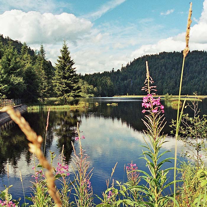 Séjour rando entre lacs et étangs Vosges au village vacances les 4 Vents