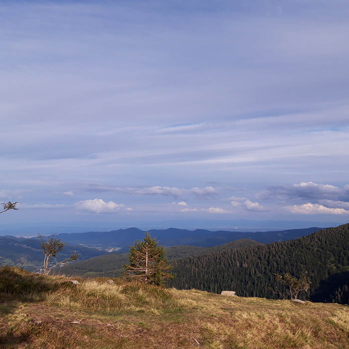 Vue sur la plaine d'Alsace, sentier de randonnées, vosges