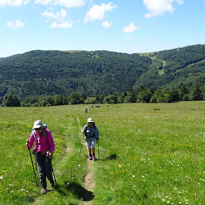 Rando printemps massif vosgien