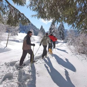 Randonnée raquettes en hiver en individuels - village vacances 4 Vents