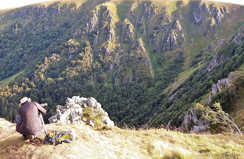 Séjour à la découverte des chamois avec le village vacances les 4 Vents