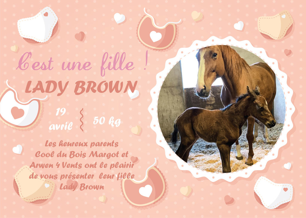 Faire part de naissance Lady Brown