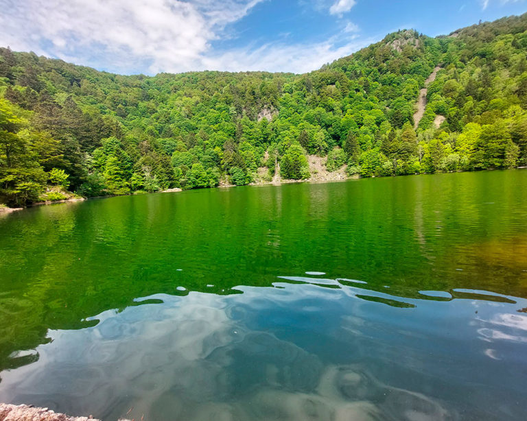 Lac séjour randonnées printanières - les 4 Vents Ramonchamp