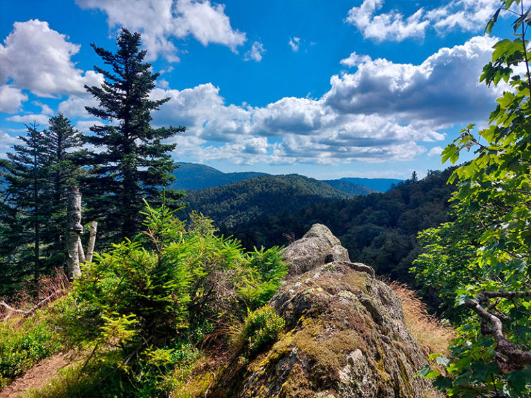 Panorama montagne Hautes Vosges