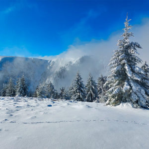 Les Hautes Vosges sous la neige