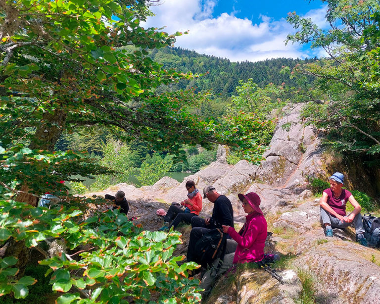 Rando accompagnées dans les Hautes Vosges