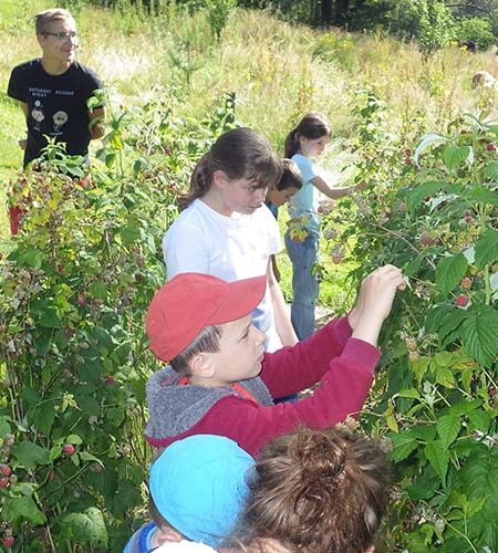 Journée chouette nature avec le club enfant aux 4 Vents