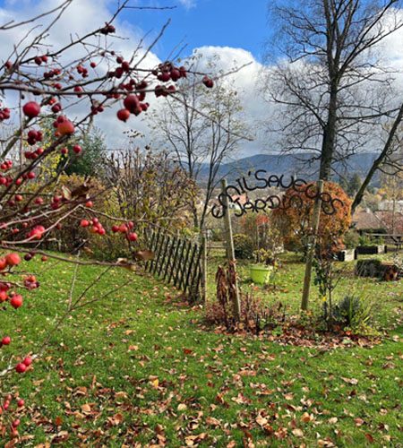 Arbustes fruitiers et vue panoramique sur les Vosges depuis le Jardin Émile Saveurs aux 4 Vents